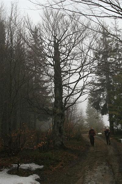 Wiosna w Beskidach 120.jpg